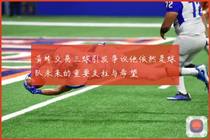 黄蜂交易三球引发争议他依然是球队未来的重要支柱与希望