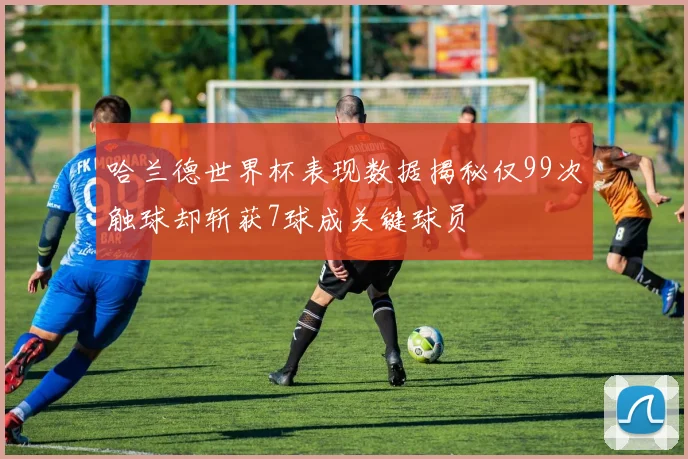 哈兰德世界杯表现数据揭秘仅99次触球却斩获7球成关键球员